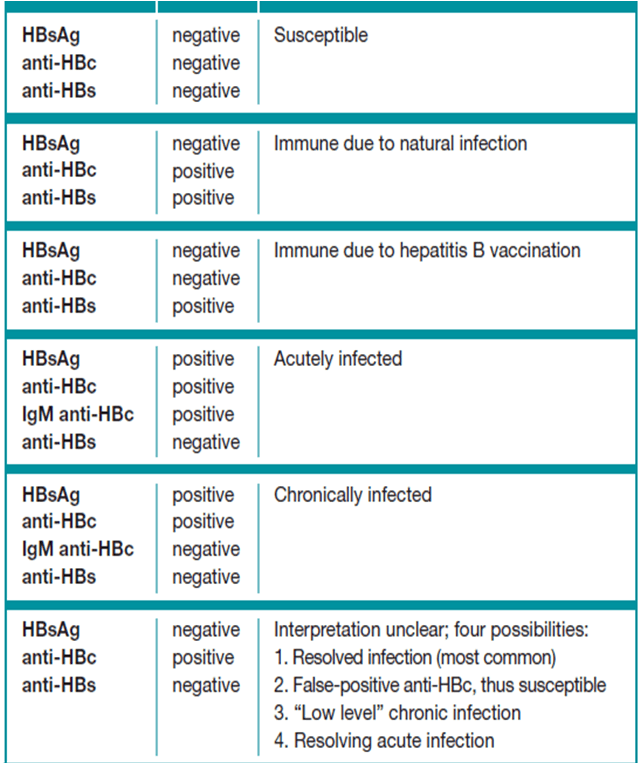 What does it mean when anti-HBc is reactive?